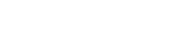 Kitchen Wizard Logo